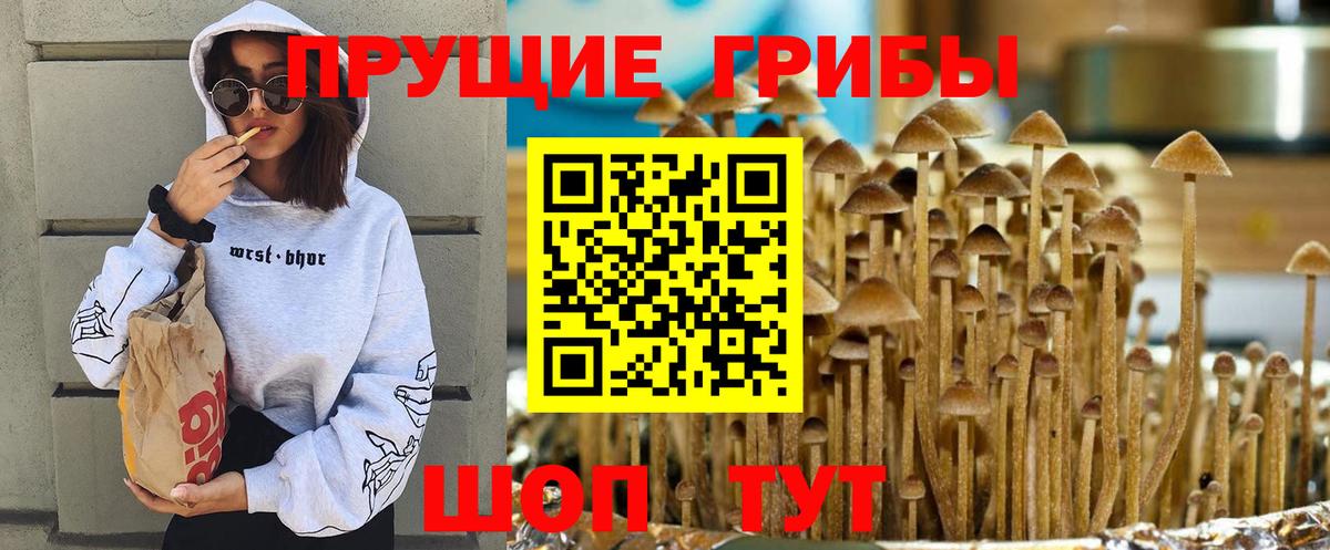 Галлюциногенные грибы GOLDEN TEACHER Славянск-на-Кубани