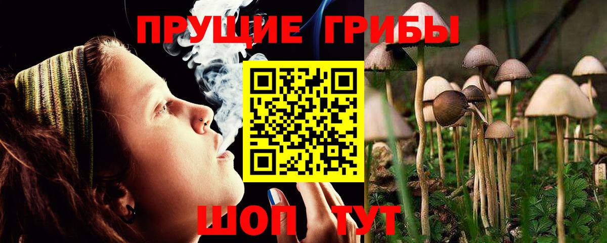 Галлюциногенные грибы ЛСД  Вход с VPN  Славянск-на-Кубани 
